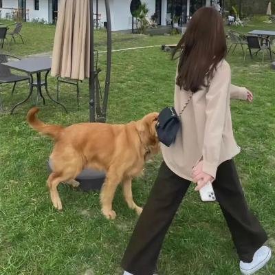 放映路上