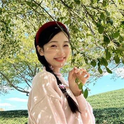 科搜研之女第23季